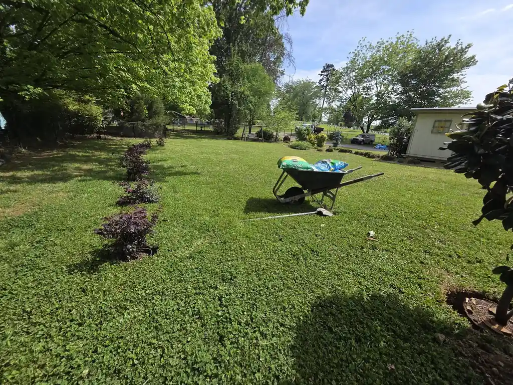 Finished lawn and planting beds at a ranch home in Cleveland, Tennessee