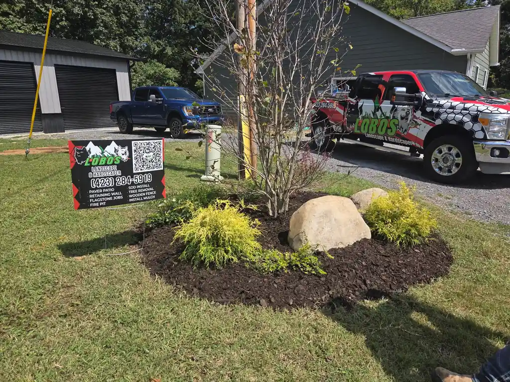 New mulch bed with shrubs and a boulder at a home in Cleveland, Tennessee