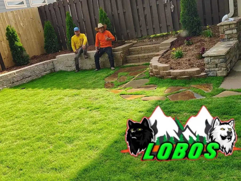 New lawn with terraced stone planting beds in a back yard in Cleveland, Tennessee